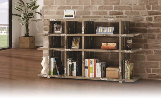 bookcasepgphoto